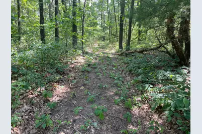 V/L 56th Avenue, Paw Paw, MI 49079 - Photo 26