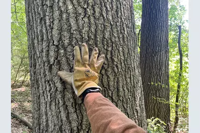 V/L 56th Avenue, Paw Paw, MI 49079 - Photo 28