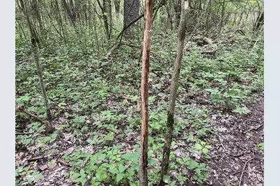 V/L 56th Avenue, Paw Paw, MI 49079 - Photo 20