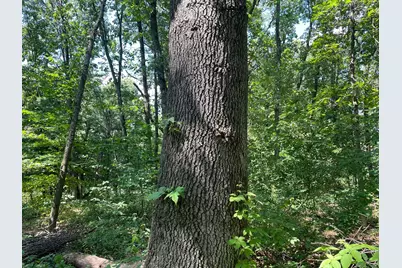 V/L 56th Avenue, Paw Paw, MI 49079 - Photo 14