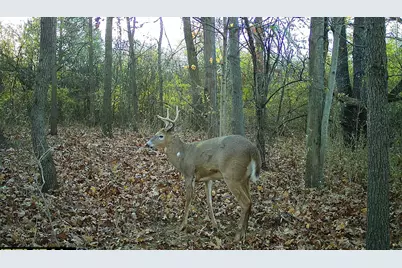 V/L 56th Avenue, Paw Paw, MI 49079 - Photo 8