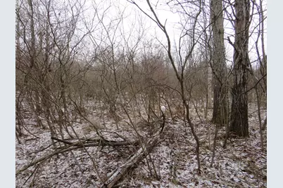 Vl Jefferson Road, Morley, MI 49336 - Photo 12