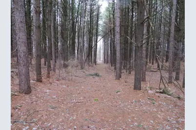 Vl Jefferson Road, Morley, MI 49336 - Photo 4