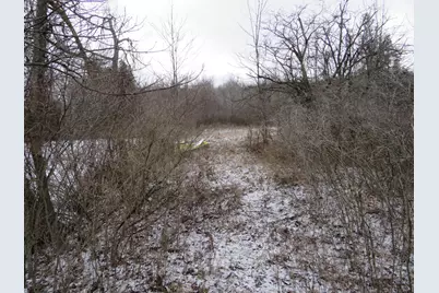 Vl Jefferson Road, Morley, MI 49336 - Photo 20