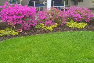 7030 N Maple Dr, Coloma, MI 49038 - Photo 64