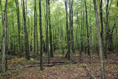 0Vl S Mason Road, Ashley, MI 48806 - Photo 20