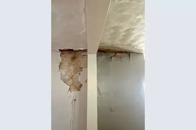 176 S Scott Street, Adrian, MI 49221 - Photo 22