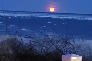 3170 Wild Dunes Path, Stevensville, MI 49127 - Photo 46