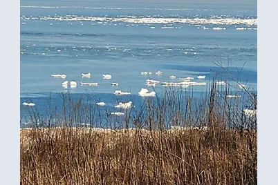 3170 Wild Dunes Path, Stevensville, MI 49127 - Photo 38