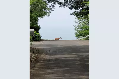 3170 Wild Dunes Path, Stevensville, MI 49127 - Photo 44