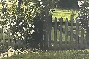 18939 I-Drive N, Marshall, MI 49068 - Photo 48