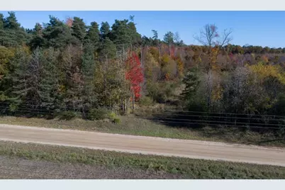 0 Johnson Road, Lakeview, MI 48850 - Photo 6