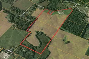 1968 Mt Tabor Rd, Berrien Springs, MI 49103 - Photo 4