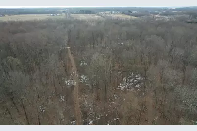 1254 Burbank Road, Quincy, MI 49082 - Photo 42