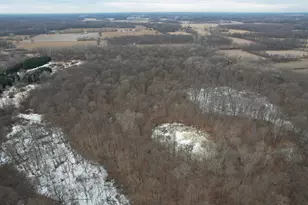 1254 Burbank Rd, Quincy, MI 49082 - Photo 44