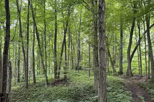 1254 Burbank Rd, Quincy, MI 49082 - Photo 48