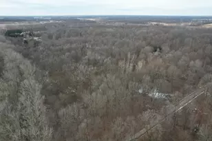 1254 Burbank Rd, Quincy, MI 49082 - Photo 42