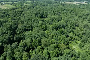 1255 Burbank Rd, Quincy, MI 49082 - Photo 36