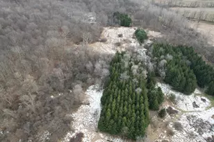 1254 Burbank Rd, Quincy, MI 49082 - Photo 36