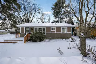 217 Portage St, Pinckney, MI 48169 - Photo 1