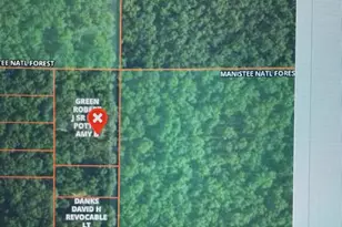 10717 N Java Rd, Irons, MI 49644 - Photo 1