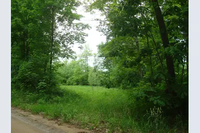 0 E Bear Road, Hillsdale, MI 49242 - Photo 10