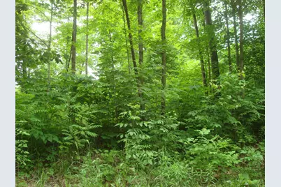 0 E Bear Road, Hillsdale, MI 49242 - Photo 4