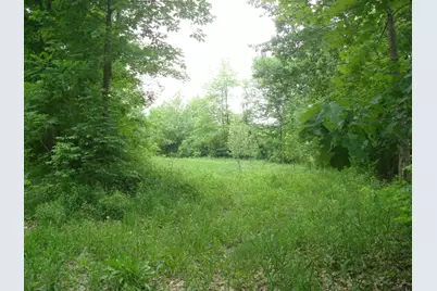 0 E Bear Road, Hillsdale, MI 49242 - Photo 6