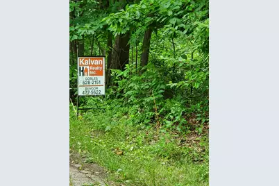 36200 Maier Street, Gobles, MI 49055 - Photo 1