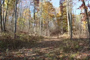 401A S Bass Lake Ave, Harrison, MI 48625 - Photo 68