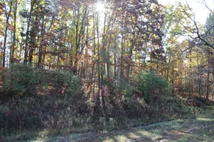 401A S Bass Lake Ave, Harrison, MI 48625 - Photo 56