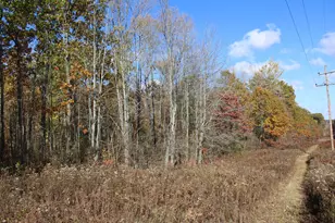 401A S Bass Lake Ave, Harrison, MI 48625 - Photo 66