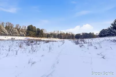 3155 Ryan Road, Hastings, MI 49058 - Photo 10