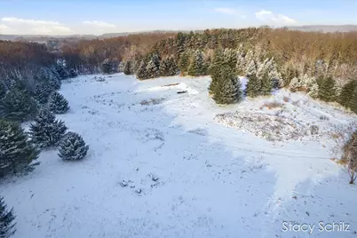 3155 Ryan Road, Hastings, MI 49058 - Photo 22