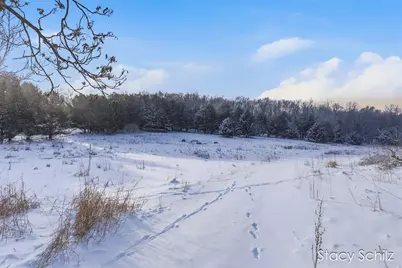 3155 Ryan Road, Hastings, MI 49058 - Photo 4