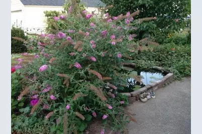 1018 Webster Street NW, Grand Rapids, MI 49504 - Photo 28