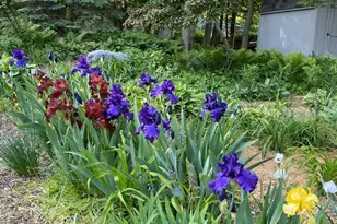 6100 Torrington Rd, Kalamazoo, MI 49009 - Photo 46