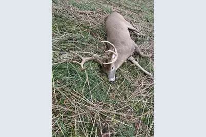 448 N Batavia Road, Coldwater, MI 49036 - Photo 52