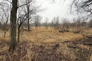 448 N Batavia Rd, Coldwater, MI 49036 - Photo 42