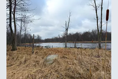 448 N Batavia Road, Coldwater, MI 49036 - Photo 56