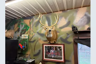 448 N Batavia Road, Coldwater, MI 49036 - Photo 38