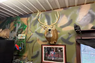 448 N Batavia Rd, Coldwater, MI 49036 - Photo 38