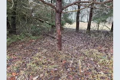 448 N Batavia Road, Coldwater, MI 49036 - Photo 46