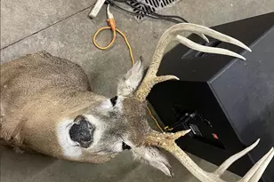 448 N Batavia Rd, Coldwater, MI 49036 - Photo 52