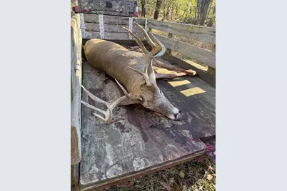 448 N Batavia Road, Coldwater, MI 49036 - Photo 50