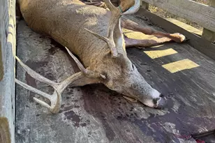 448 N Batavia Rd, Coldwater, MI 49036 - Photo 50