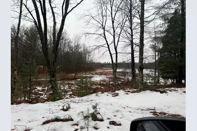 00 Vl Poplar Avenue, Bitely, MI 49309 - Photo 12