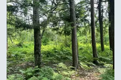 00 Vl Poplar Avenue, Bitely, MI 49309 - Photo 6