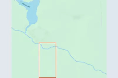 00 Vl Poplar Avenue, Bitely, MI 49309 - Photo 2