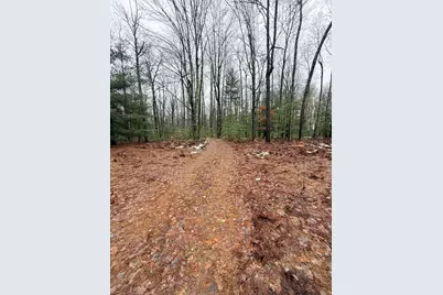 00 Vl Poplar Avenue, Bitely, MI 49309 - Photo 10